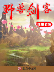 野獸劍客小说封面